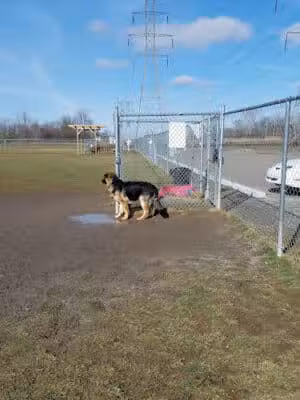 Canton Dog Park - Canton Township, MI
