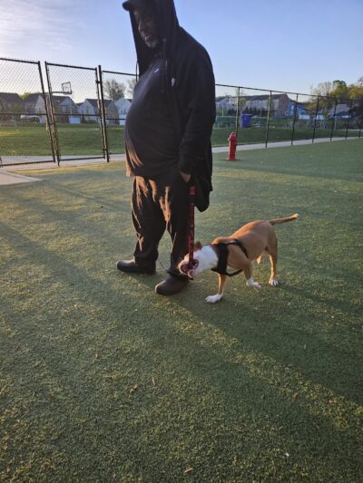 Rollins Avenue Park - Capitol Heights, MD