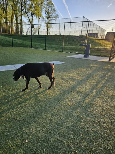Rollins Avenue Park - Capitol Heights, MD