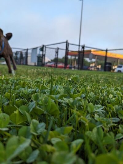 Dog Park at Love's Travel Stops - Carefree, IN