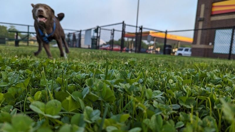 Dog Park at Love's Travel Stops - Carefree, IN