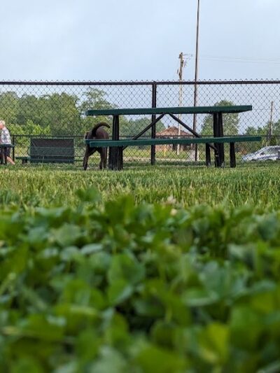 Dog Park at Love's Travel Stops - Carefree, IN