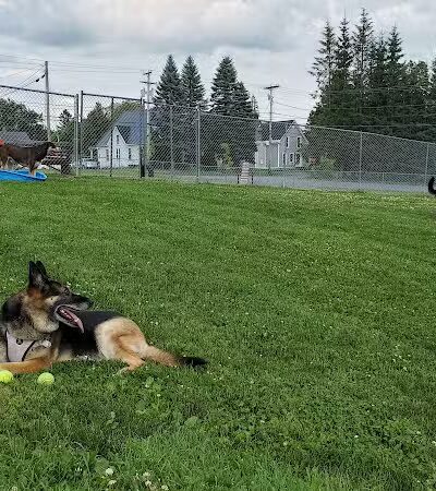 Sincock Dog Park - Caribou, ME