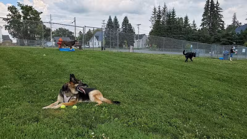 Sincock Dog Park - Caribou, ME