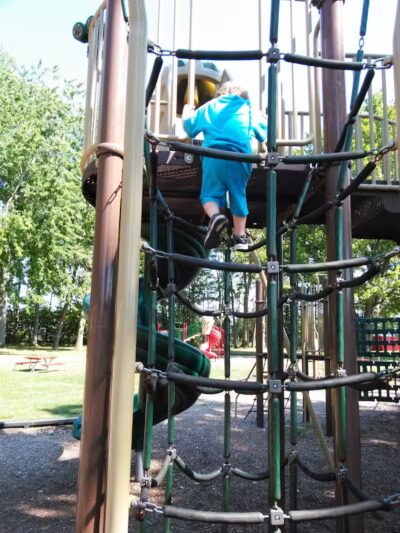 Ash Carleton Park - Carleton,