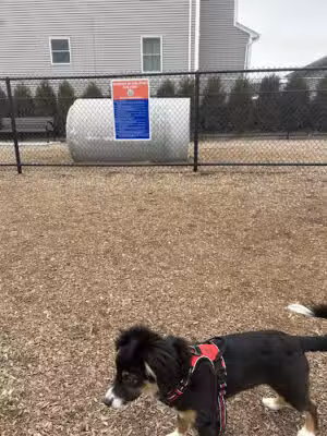 Carlstadt Dog Park - Carlstadt, NJ