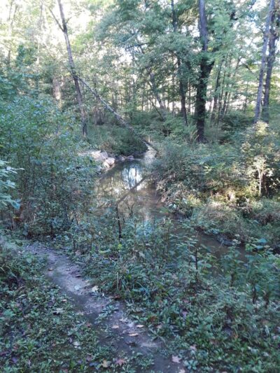 Central Dog Park - Carmel, IN