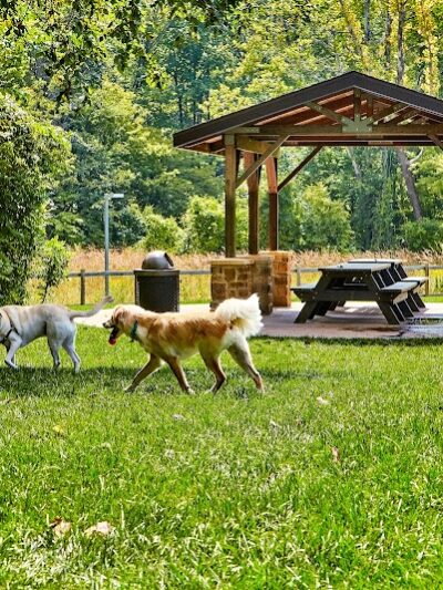 Central Dog Park - Carmel, IN