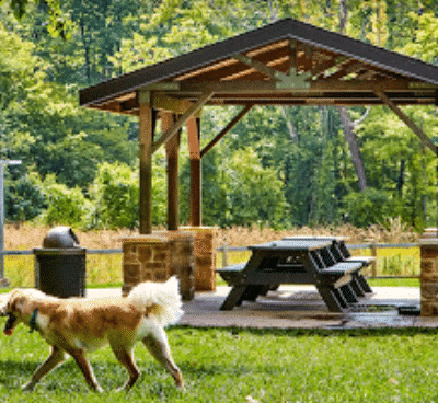 Central Dog Park - Carmel, IN