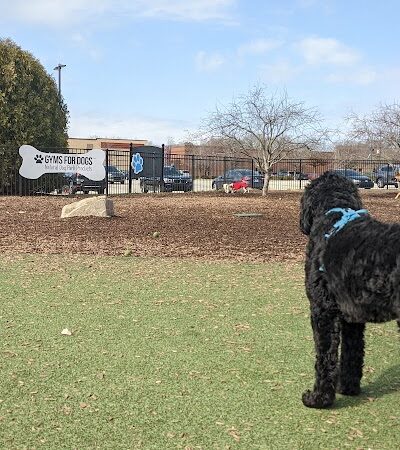 Dog Park at Clay Terrace - Carmel, IN
