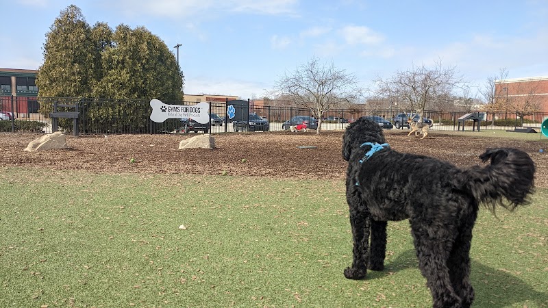 Dog Park at Clay Terrace - Carmel, IN