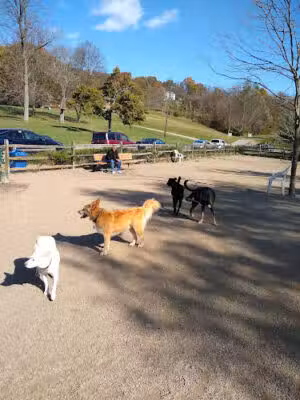Carnegie Dog Park - Carnegie, PA