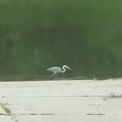 Chippewa Landing City Park - Caro,