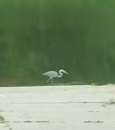 Chippewa Landing City Park - Caro,