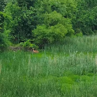 Chippewa Landing City Park - Caro,