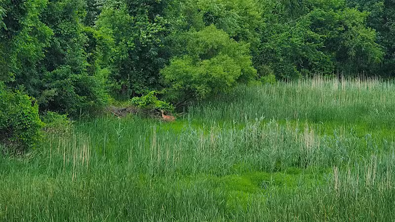 Chippewa Landing City Park - Caro,