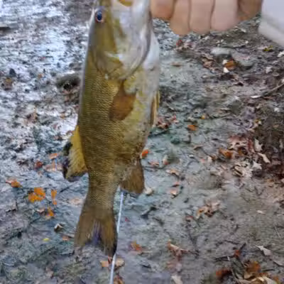 Chippewa Landing City Park - Caro,