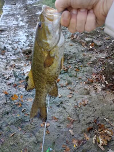 Chippewa Landing City Park - Caro,