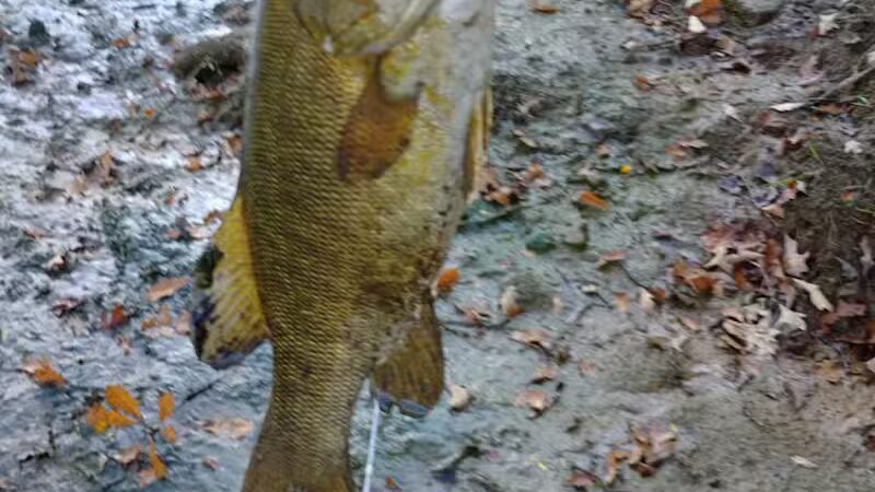 Chippewa Landing City Park - Caro,