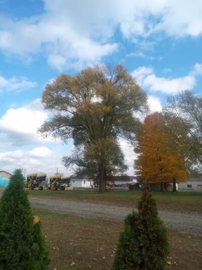 Exchange Club Forest - Caro,