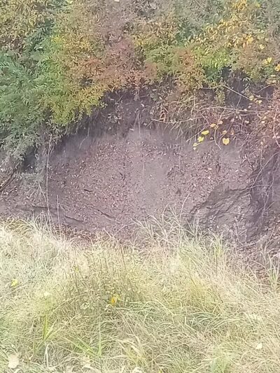 Exchange Club Forest - Caro,