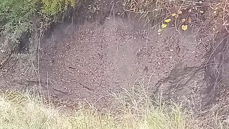 Exchange Club Forest - Caro,