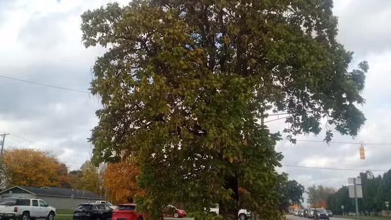 Exchange Club Forest - Caro,