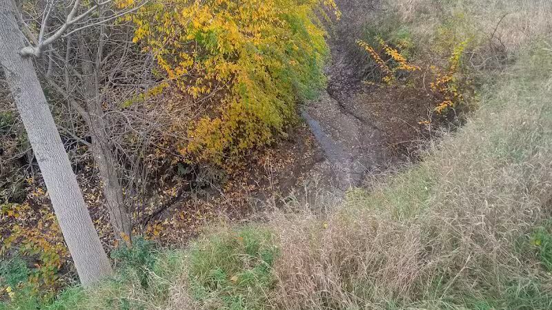 Exchange Club Forest - Caro,