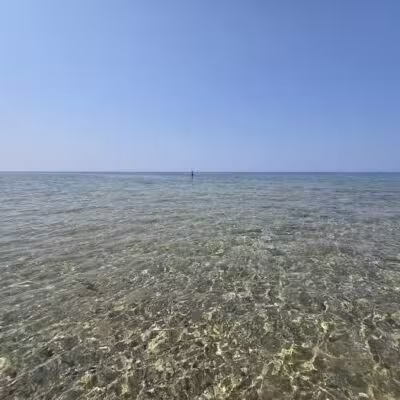 Wilderness State Park - Carp Lake,