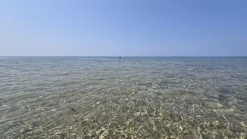 Wilderness State Park - Carp Lake,