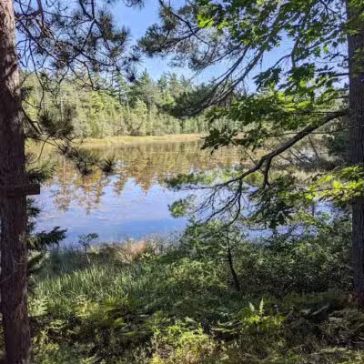 Wilderness State Park - Carp Lake,