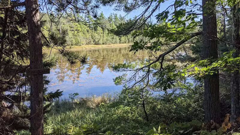 Wilderness State Park - Carp Lake,