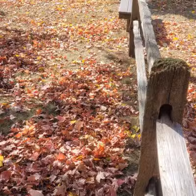 Grove Park - Carson City,