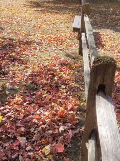 Grove Park - Carson City,