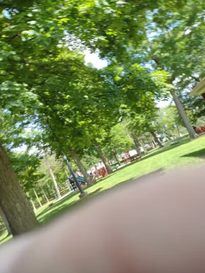 Grove Park - Carson City,