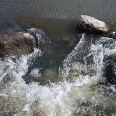 Haradine Park - Carson City,
