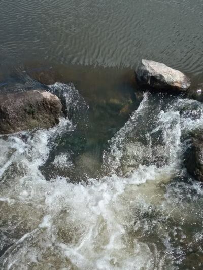 Haradine Park - Carson City,