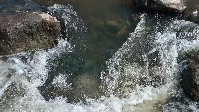 Haradine Park - Carson City,