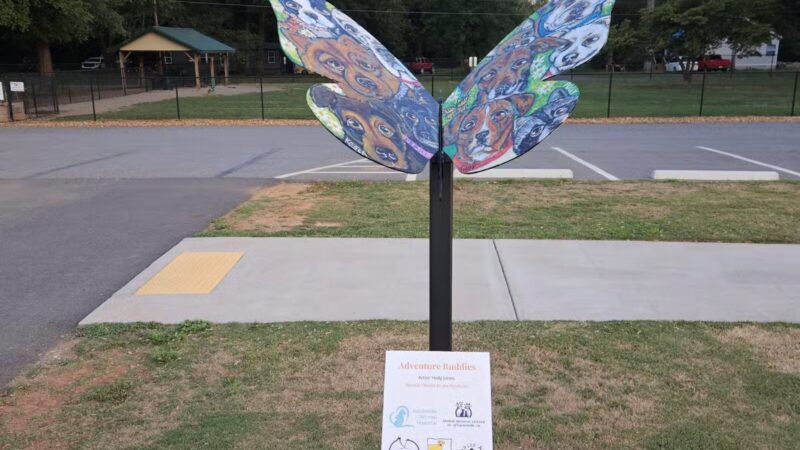 Bartow County Dog Park - Cartersville, GA