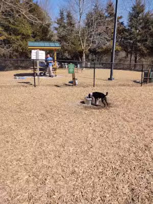 Cary Dog Park at Godbold Park (pass required) - Cary, NC