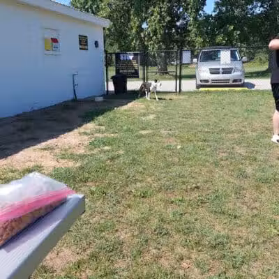 Caseville Township Dog Park - Caseville Township, MI