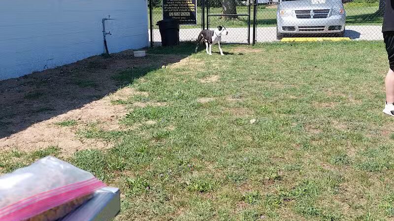 Caseville Township Dog Park - Caseville Township, MI