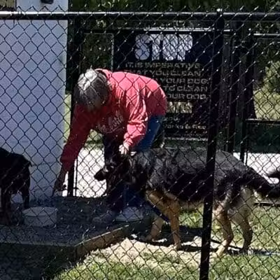 Caseville Township Dog Park - Caseville Township, MI