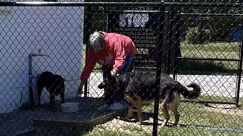 Caseville Township Dog Park - Caseville Township, MI