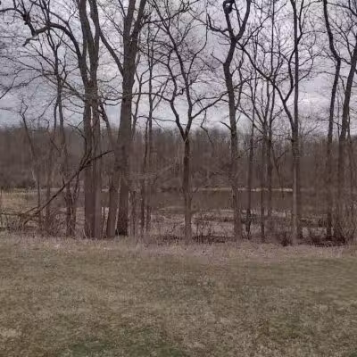 Don Horne Park - Cassopolis,