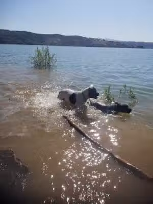 Castaic Lake State Recreation Area - Castaic, CA