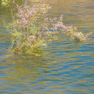 Castaic Lake State Recreation Area - Castaic, CA