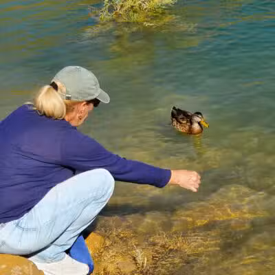 Castaic Lake State Recreation Area - Castaic, CA