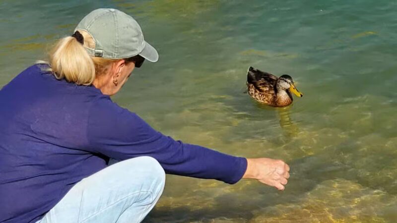 Castaic Lake State Recreation Area - Castaic, CA