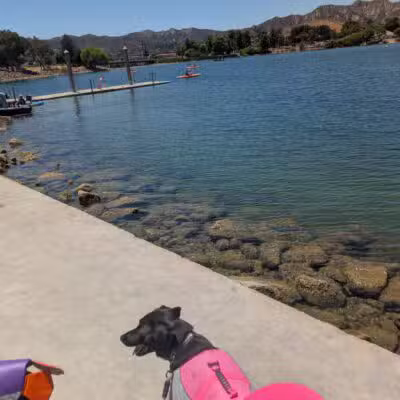 Castaic Lake State Recreation Area - Castaic, CA